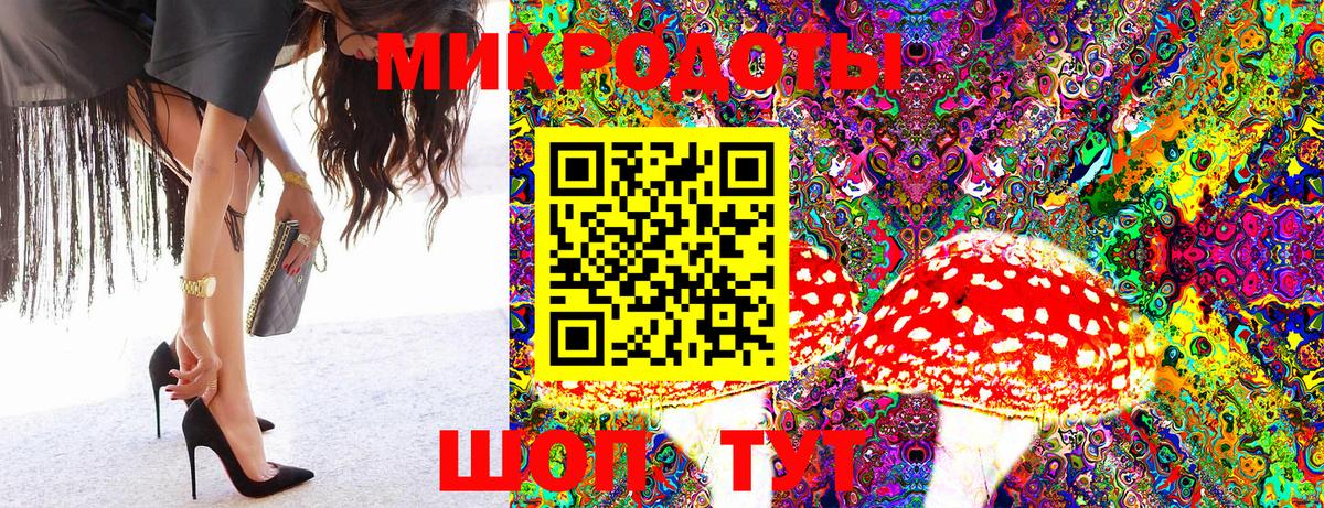 Псилоцибиновые грибы Cubensis Орехово-Зуево